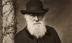 От тревоги – к великому открытию: как болезни Чарльза Дарвина повлияли на рождение теории эволюции?