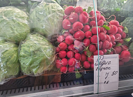 На Комаровке появилась первая весенняя редиска. А что подешевело сразу в 4 раза?