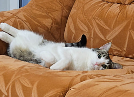 Перенос рабочего дня в Беларуси: кому не нужно выходить в субботу 25 апреля?