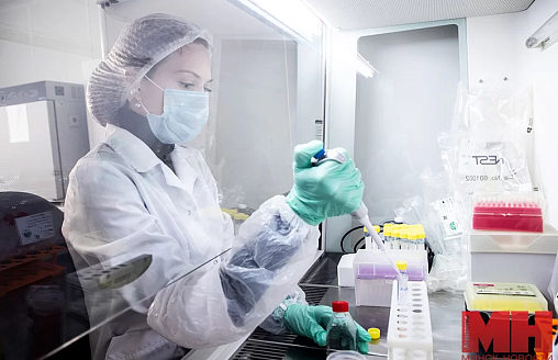 В 5 раз: в Брестской области всплеск бешенства среди животных. Чем это опасно для людей