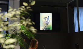 Занимательная зоология, шутки про летающую лису и самые живописные кадры. Как жюри фотоконкурса “Дикая природа Беларуси 2025” выбирало победителей