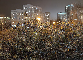 Мороз задерживается. Какой будет погода в Беларуси 7 декабря?