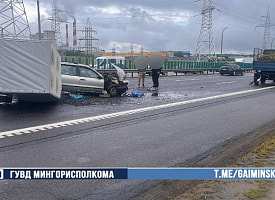 МКАД усыпало голубикой: Fiat врезался в трактор с прицепом