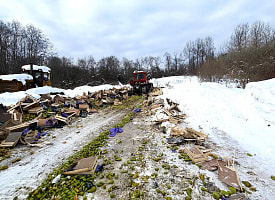 В России уничтожили почти 20 тонн свежих груш – их везли из Беларуси