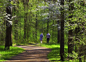 “Нападают на каждого” – Белорусов предупредили о 9-месячной опасности в лесах и парках