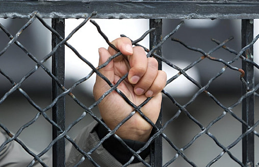 Лукашенко по просьбе Трампа помиловал 123 человека