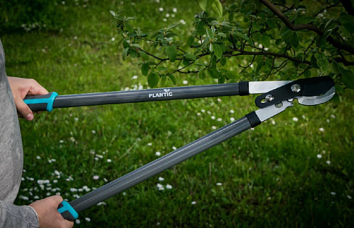 Один сучкорез на все случаи? Как выбрать универсальный инструмент для дачи