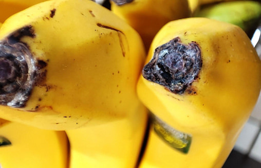 Опасен ли белый налёт на бананах? В МАРТ Беларуси объяснили, где искать правду
