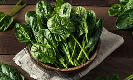 Шпинат раньше всех: как получить первые витамины, когда огород еще спит