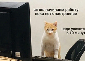 Ищем человека: Smartpress.by открывает вакансию для журналиста-редактора Службы новостей 