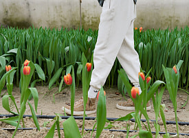 На периферии антициклона Uli: чего ждать от погоды в Беларуси 21 апреля