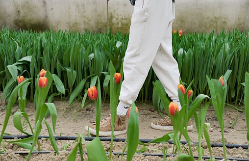 На периферии антициклона Uli: чего ждать от погоды в Беларуси 21 апреля