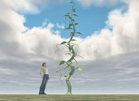 Ученые придумали, как заставить огород удобрять сам себя