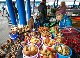 “Может вызвать паралич”. Эпидемиологи призвали белорусов не покупать мясо, яйца и закатки в этих местах