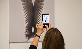 Самый успешный хищник в мире… стрекоза? В Минске открылась фотовыставка “Дикая природа Беларуси”