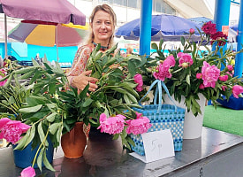 Как журналисты Смартпресс пытались разбогатеть, продавая цветы на Комаровке