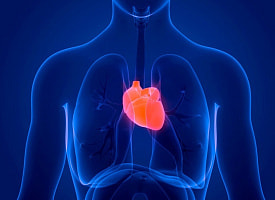 Магнитный гель в сердце может снизить риск инсульта