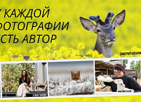 Фотография в открытом профиле - это не разрешение ее использовать. Обращение редакции Смартпресс