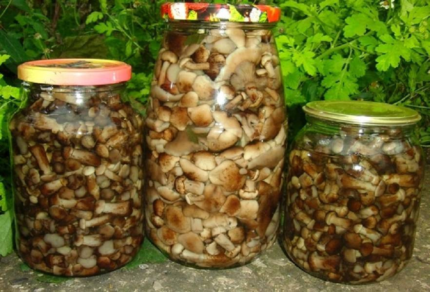 Минздрав предупредил об опасности ботулизма.jpeg