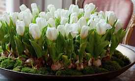 14 февраля уже на календаре. Реально ли получить свои цветы к 8 Марта?