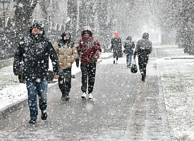Мокрый снег после “нуля” и не только. Прогноз погоды в Беларуси на 12 ноября