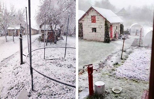 “Вышел на улицу и обалдел”. В Беларуси в конце апреля выпал снег