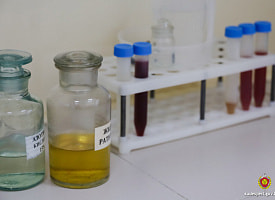 Пили по литру? На Могилевщине зафиксировали уже пять смертей - у погибших зашкаливали промилле в крови