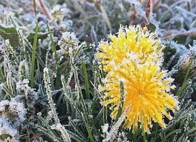 Весна с характером: синоптики объявили штормовое предупреждение в Беларуси на 2 мая