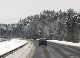 Зима отменяется? Синоптик Рябов выдал прогноз на ближайшую неделю