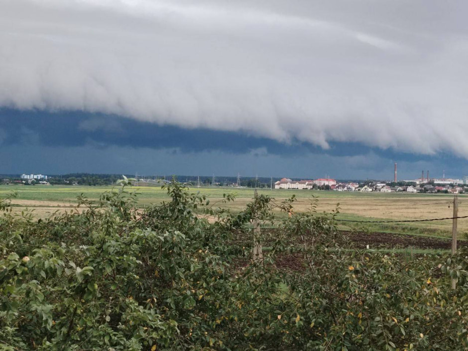 Летние дожди Летние дожди