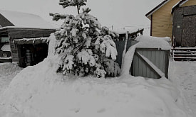 Дачу засыпало снегом. Что делать?