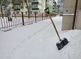 “Моя следующая покупка – лопата”. Белорусы устроили настоящий гимн инвентарю