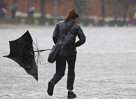 Холодный фронт принесет дожди и очень крепкий ветер в эти области Беларуси. Прогноз погоды на 30 октября