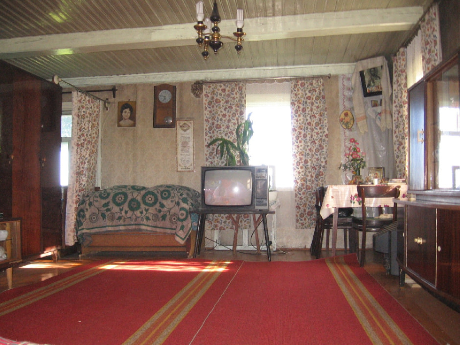 деревня внутри дом история.jpg