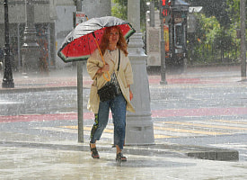 Какую из областей Беларуси накроют дожди? Прогноз погоды на 27 августа