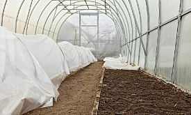 Стоит ли менять грунт в теплице каждый год