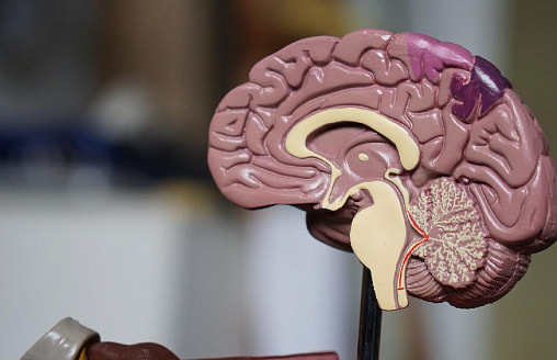 Мозг стареет быстрее тела: ученые нашли маркер риска деменции во сне