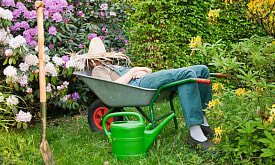 Вы слишком много взяли на себя. Вот как “сузить” дачу без чувства вины