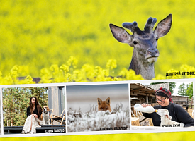 Фотография в открытом профиле - это не разрешение ее использовать. Обращение редакции Смартпресс