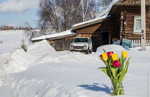 Март. Уже на дачу или еще рано? Когда начинать сезон, чтобы не потерять урожай