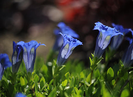 Апрель в Беларуси стартует с тепла, но с нюансом: что ждать по регионам