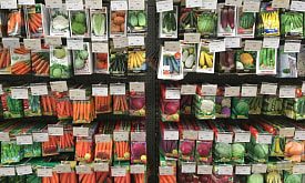 Почему семена лучше покупать уже в декабре: три причины начать подготовку к новому сезону заранее