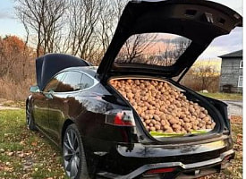 “Спасибо Илону!” – Белорусы показали в Treads, как перевозят картошку в Tesla