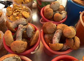 Лисички, подешевевшие в 5 раз, и боровики за “шок-цену” – посмотрели, какие грибы продают на Комаровском рынке