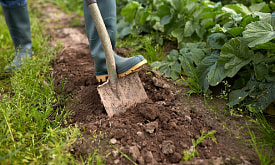 Лопата подождёт: когда можно начинать копать землю весной