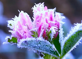 “Поступит воздух с аномалией” – Белорусов предупредили о самых холодных ночах апреля