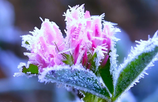 “Поступит воздух с аномалией” – Белорусов предупредили о самых холодных ночах апреля