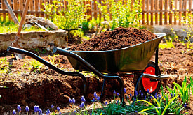 Чернозем привезли, а урожая нет: почему “хорошая земля” не сработала?