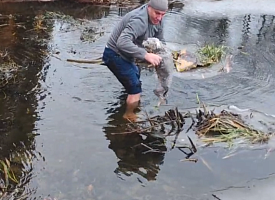 В Жабинке прохожий спас провалившуюся под лёд собачку
