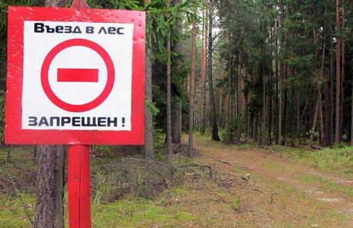 Где в Беларуси нельзя посещать леса 5 июля: список районов